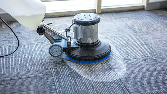 Upholstery Carpet Cleaning #5